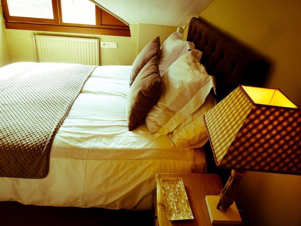 Apartamentos Formigal - Admite Mascotas - 外观 照片
