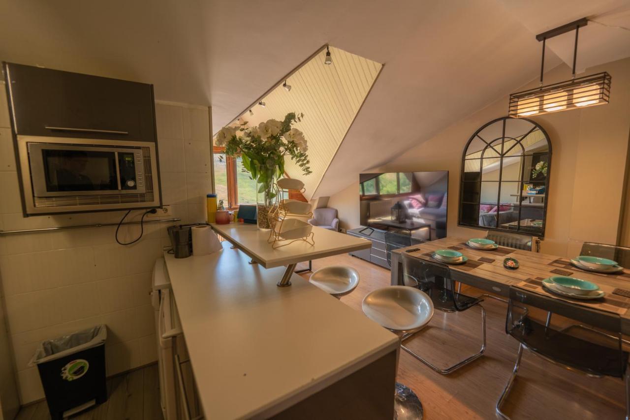 Apartamentos Formigal - Admite Mascotas - 外观 照片